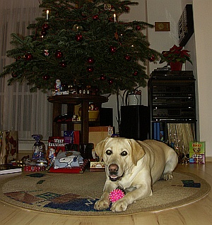2005-weihnachten-1