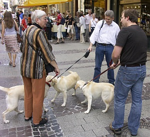 2007-luxemburg-labradortreffen